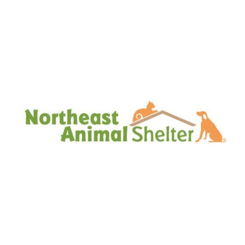 northeast animal shelter